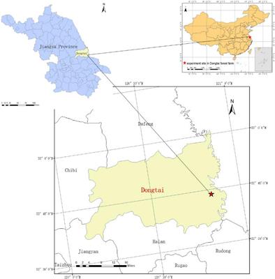 Effects of Long-Term Fertilization and Stand Age on Root Nutrient Acquisition and Leaf Nutrient Resorption of Metasequoia glyptostroboides